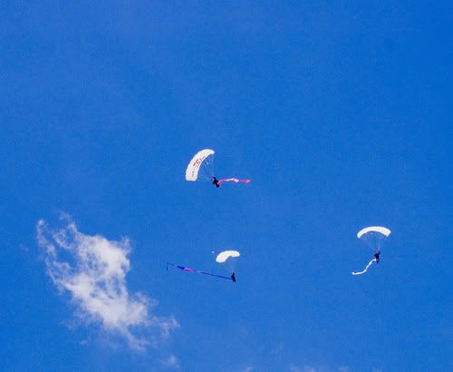 Skydiver003072206.jpg