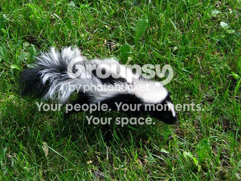 IMG_4227sm.jpg
