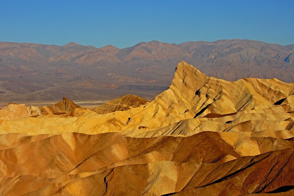 Zabriskie12010-1.jpg