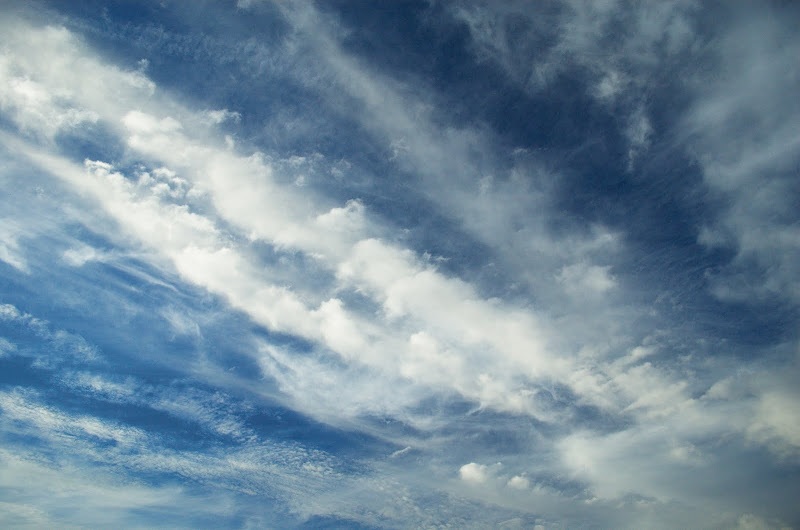 DSC_8797.jpg