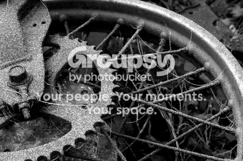 resizeIMG_3803bw.jpg