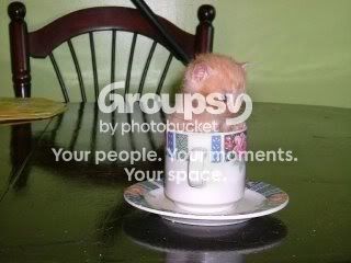 ittybaby.jpg