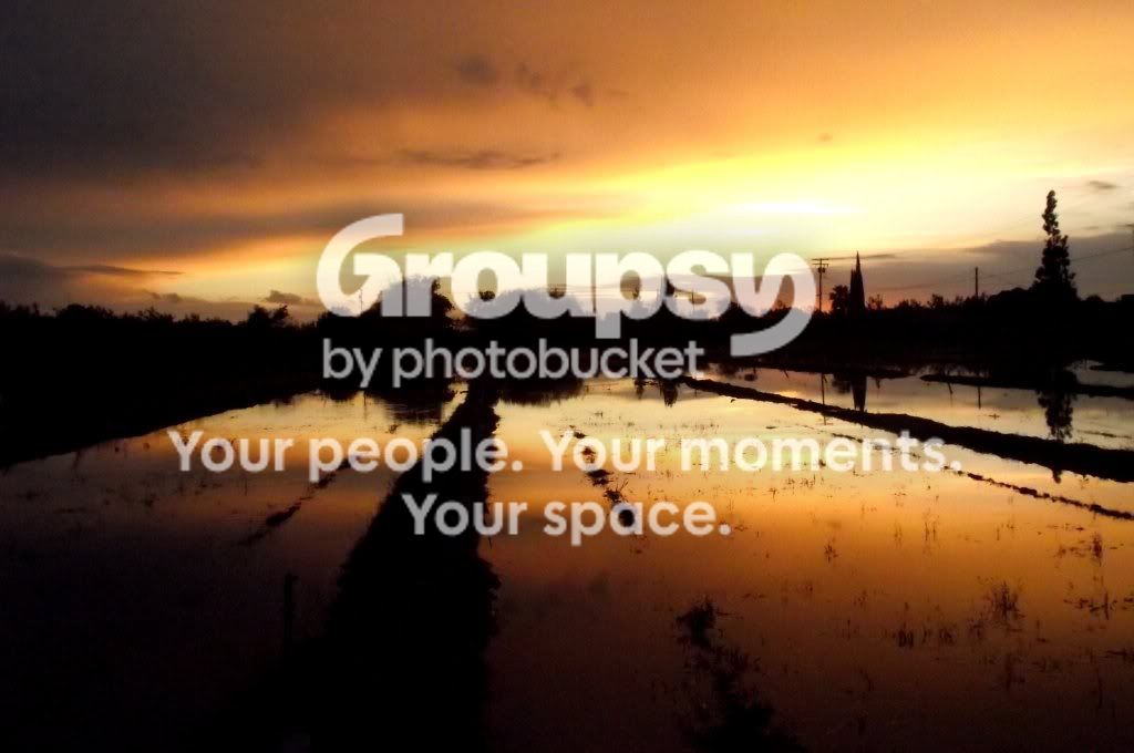sunsetshot.jpg