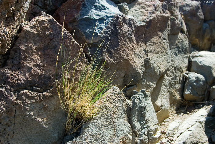 vantage070701_05.jpg