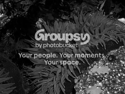 myspace22.jpg