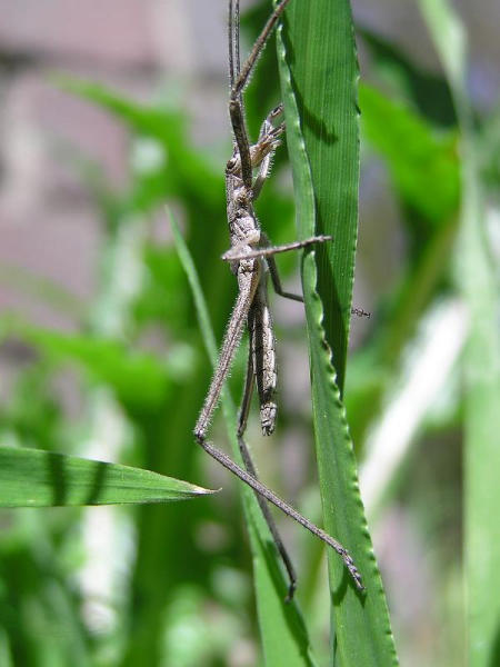 43149smallP1010019-med.JPG