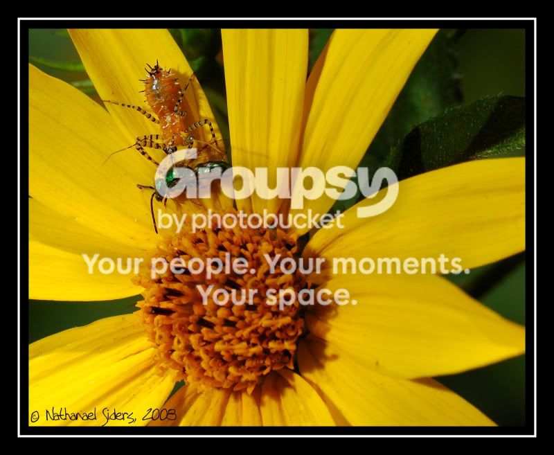 2008-08-17_35web.jpg