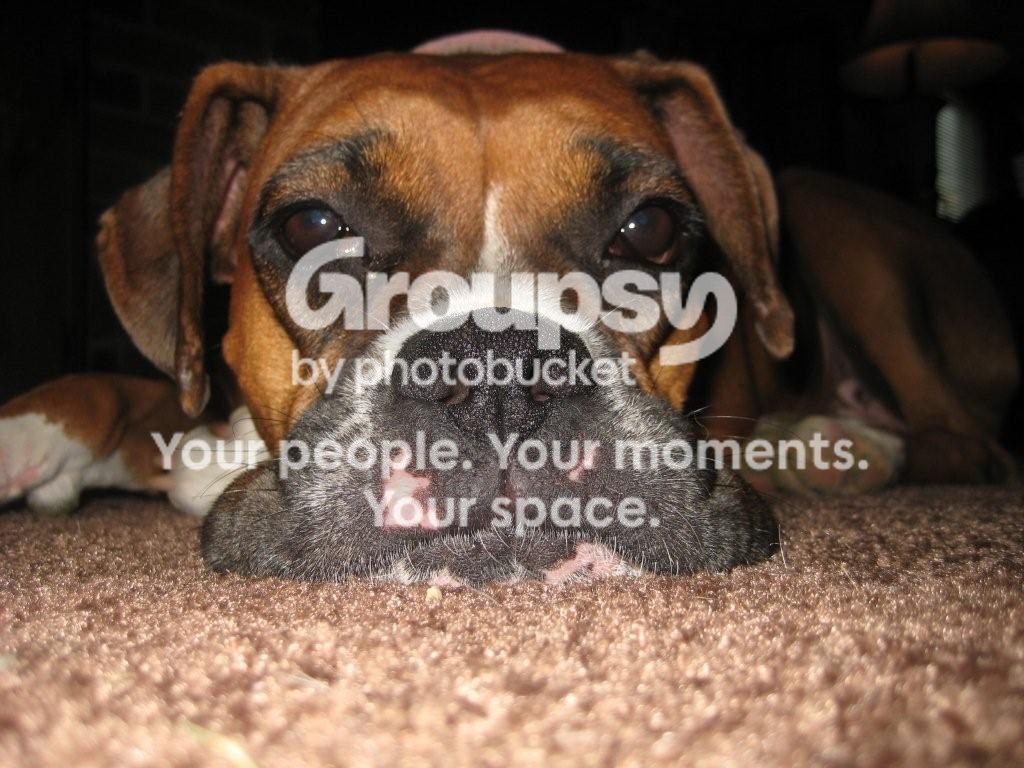 Grace.jpg