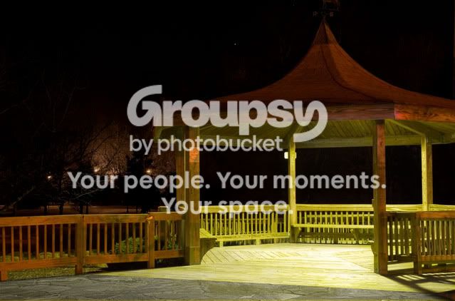GulleyParkJan1_38.jpg