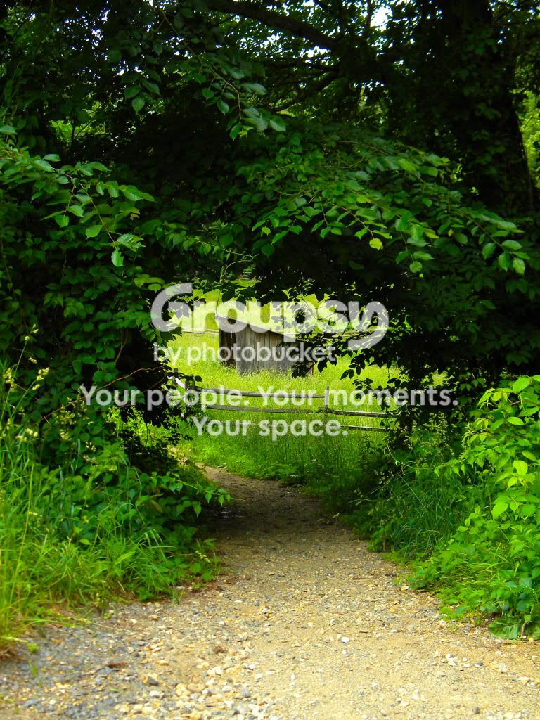 TunnelofGreen.jpg