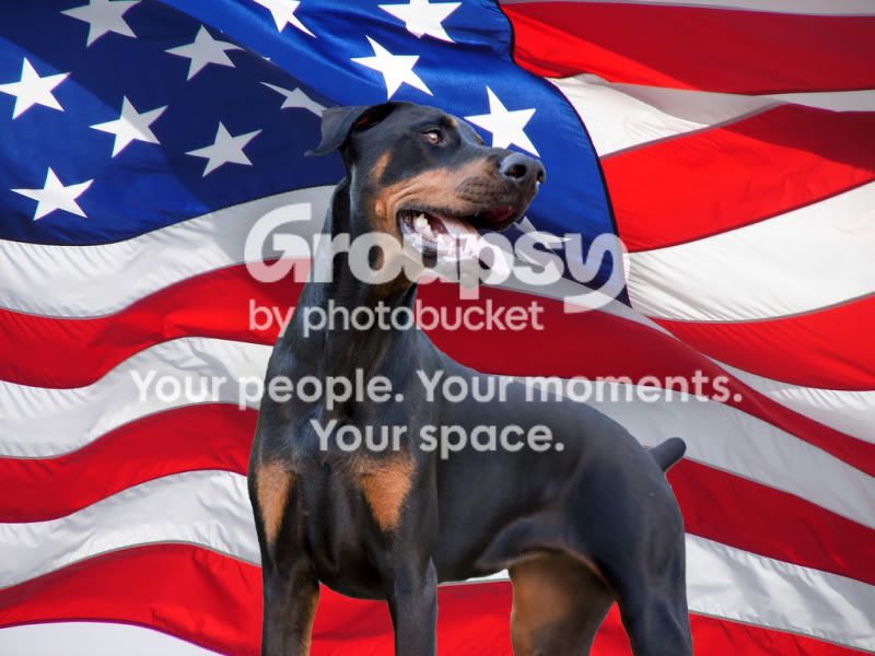 2365664738_bfd348063f_b.jpg