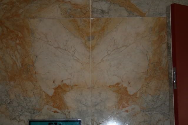 IMG_1017.jpg