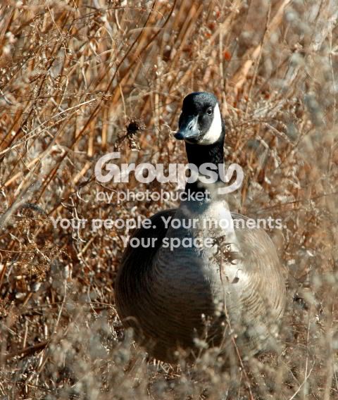 DSC_62850563websize.jpg