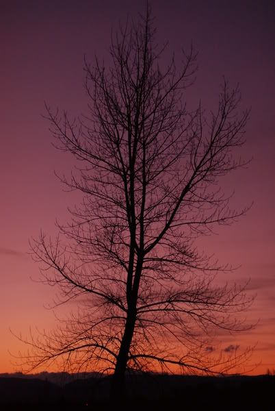 DSC_1415.jpg