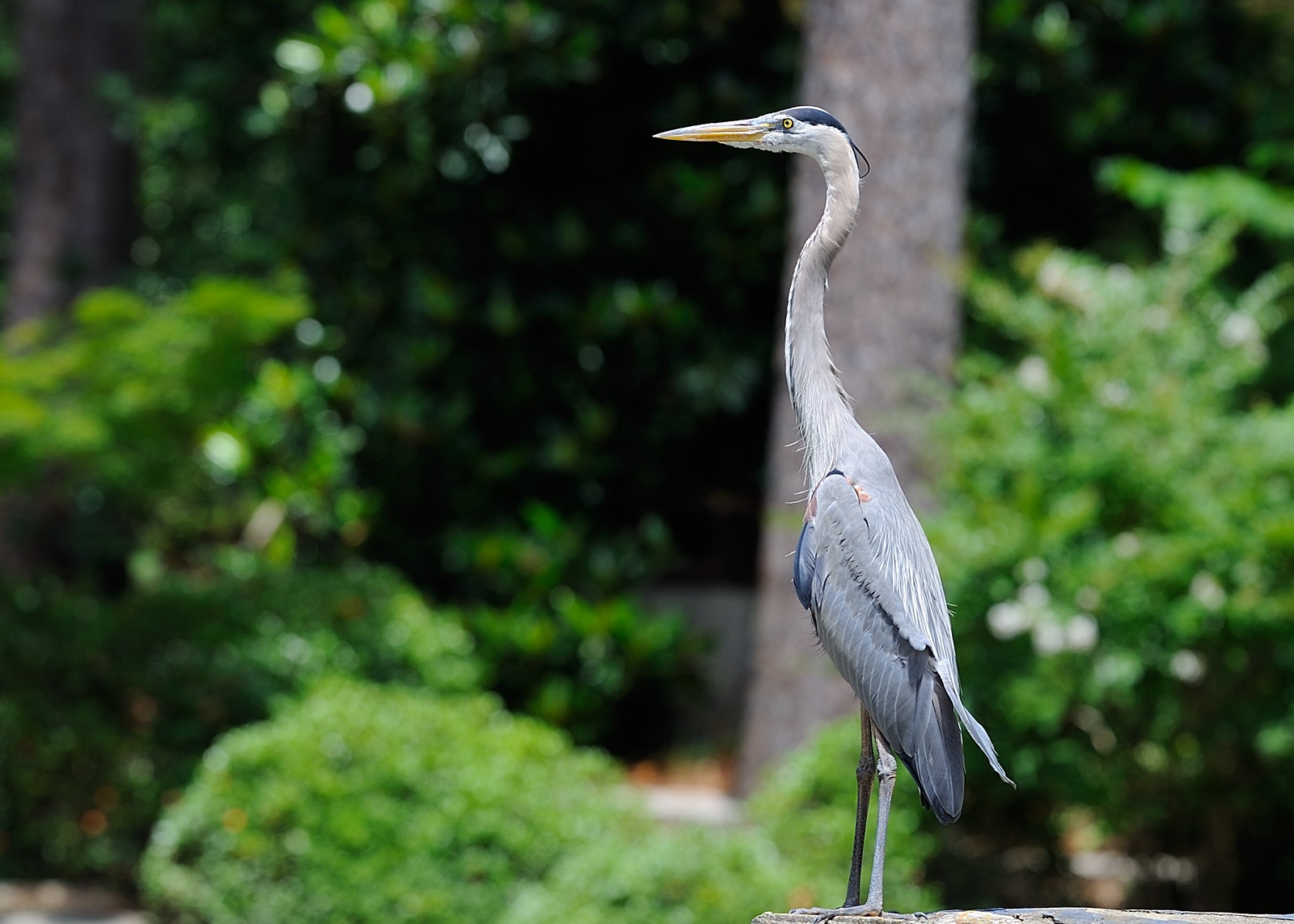 DSC_00143-X3.jpg