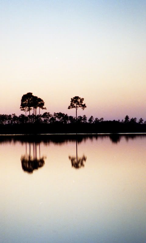 070_1.jpg