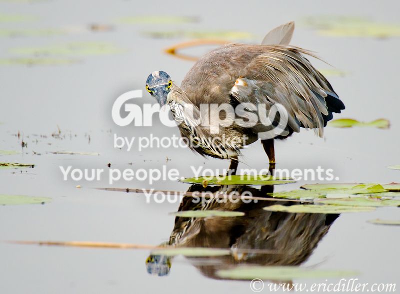 _ECD6465-copy800.jpg
