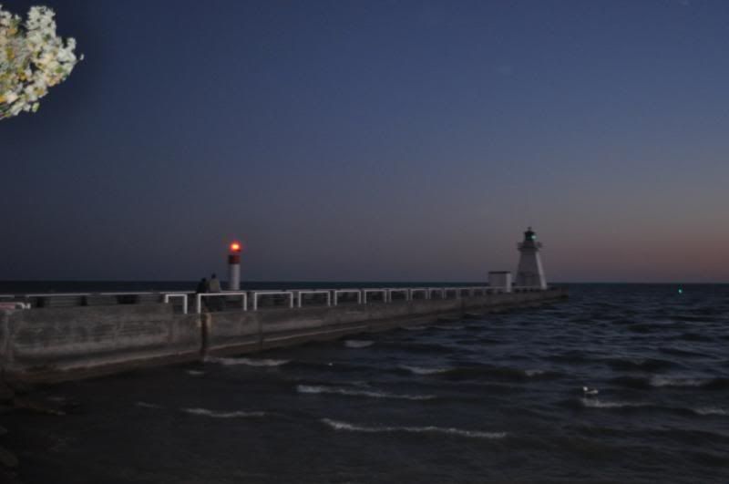 DSC_2389.jpg