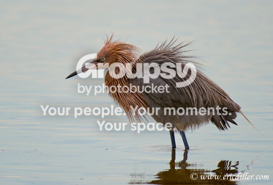 _ECD8204-copy2900.jpg