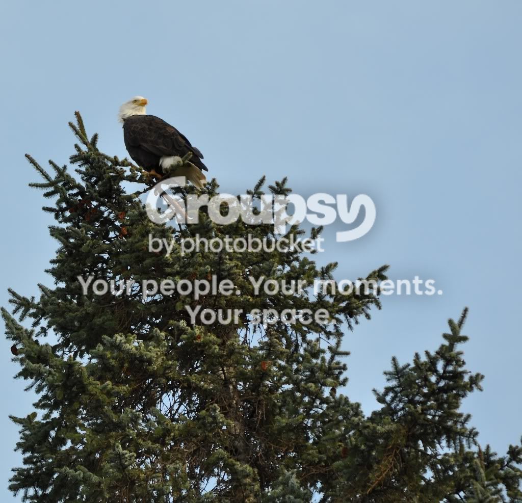 DSC_0012.jpg
