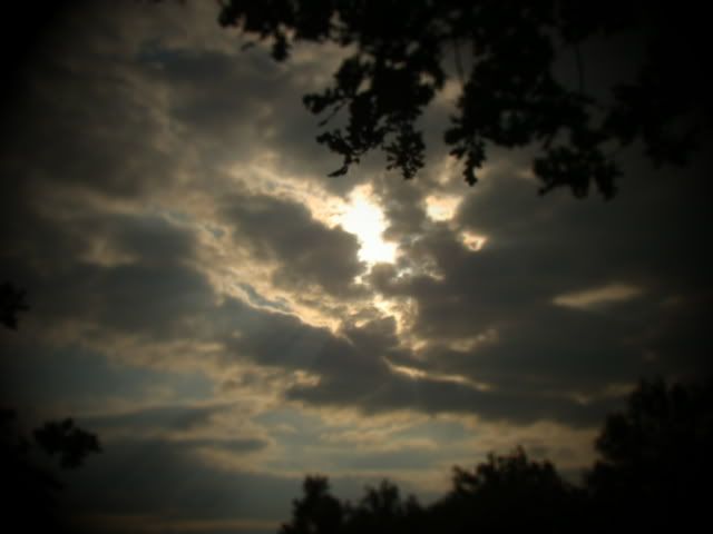 DSC02493.jpg