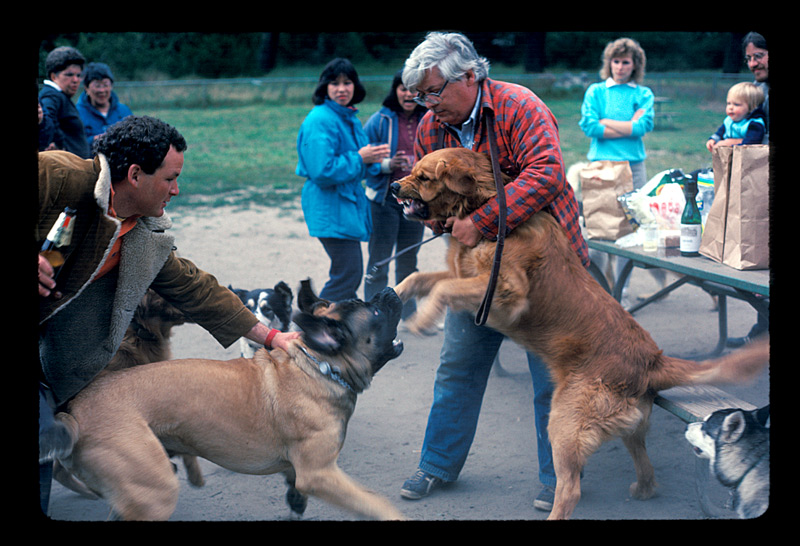 Image242.jpg