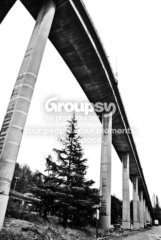underthebridge4.jpg