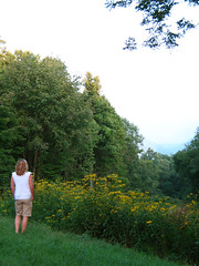 1326826198_e05d1b06bb_m.jpg