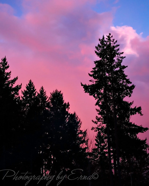 5600695668_04ac6bc61f_z.jpg