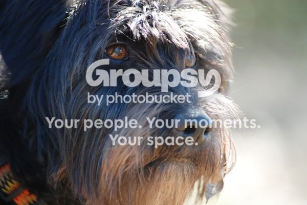 DSC_0111.jpg