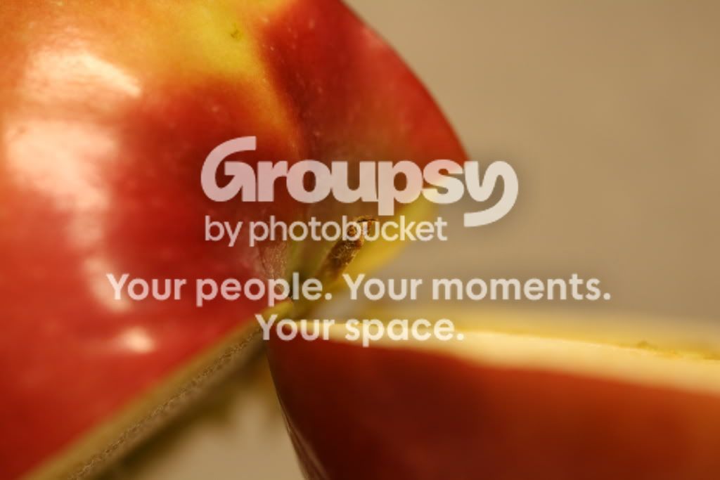 macro026.jpg