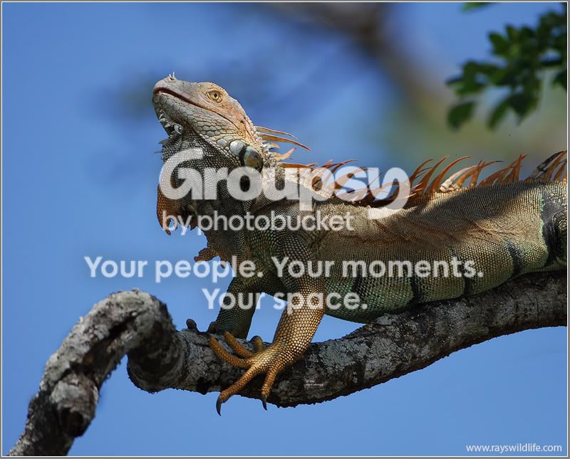 DSC_7480w.jpg