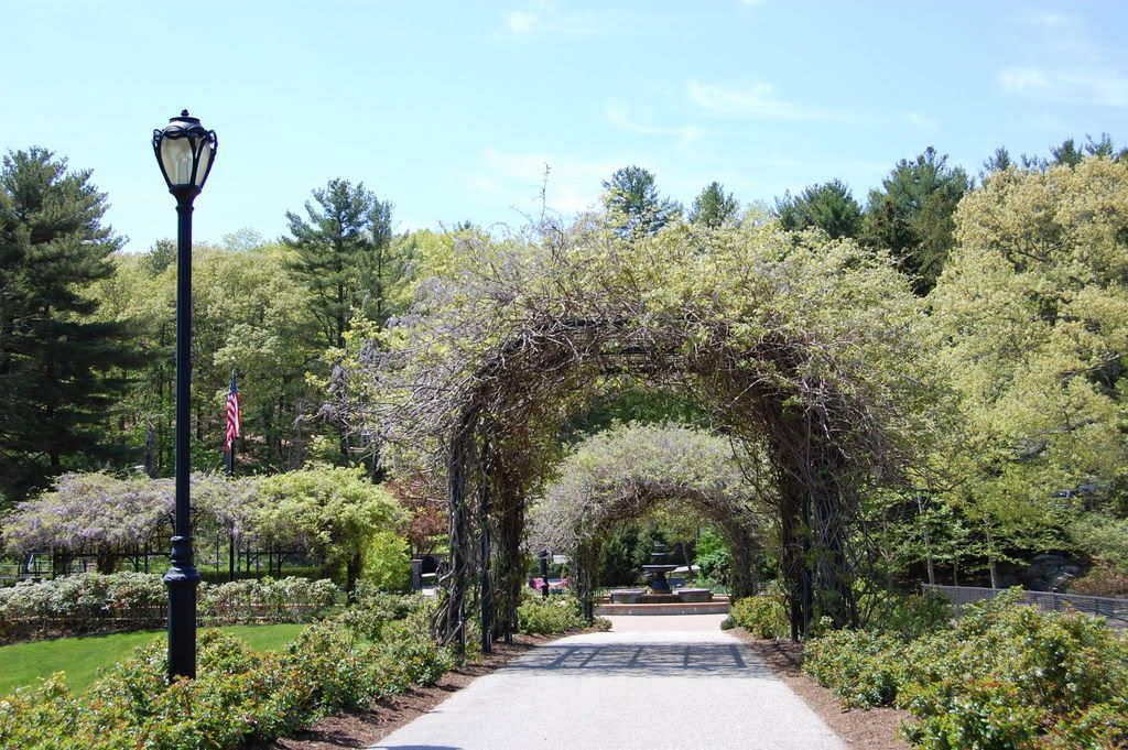 DSC_0158.jpg