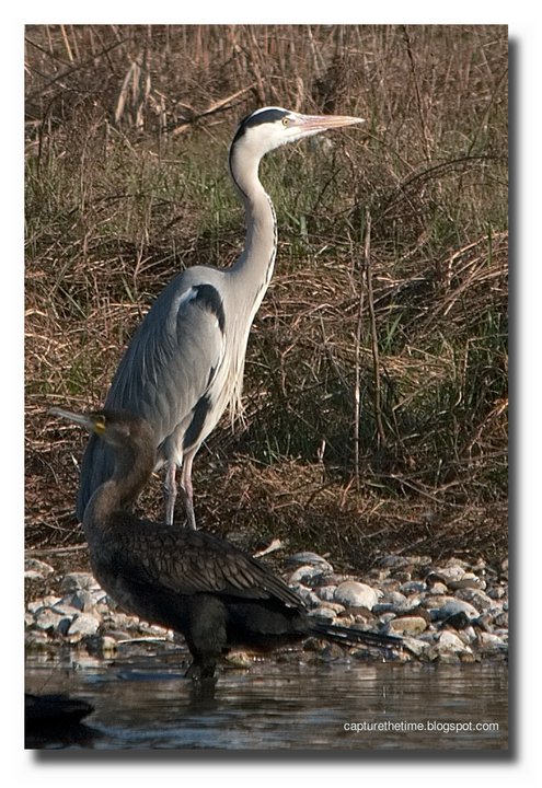 IMG_0925.jpg