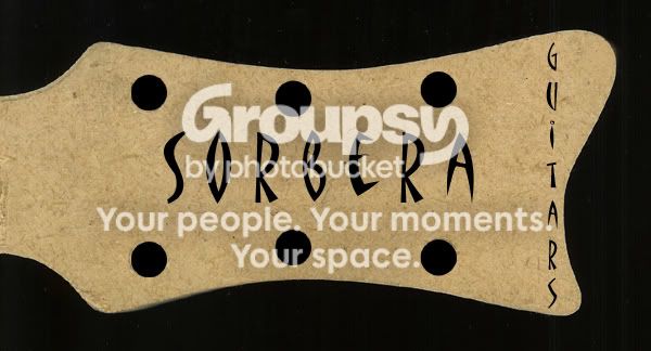 headstock3copy.jpg