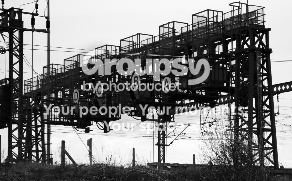 DSC_0011BW.jpg