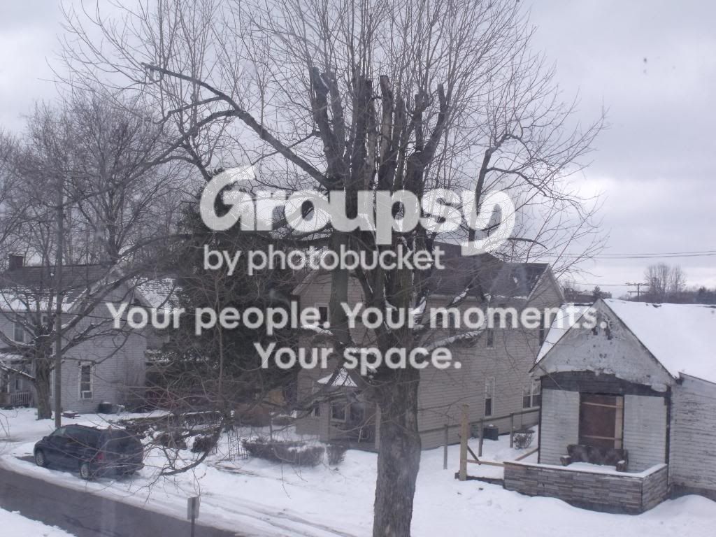 DSCF1653.jpg