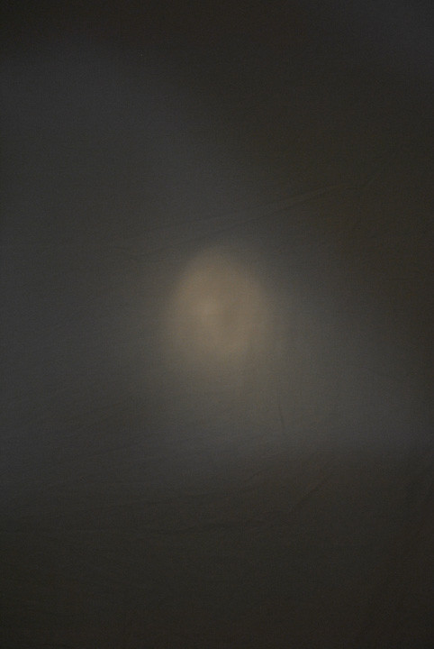 5568247258_455af1502f_b.jpg