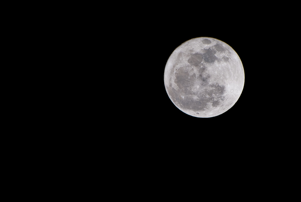 DSC2743-X2.jpg