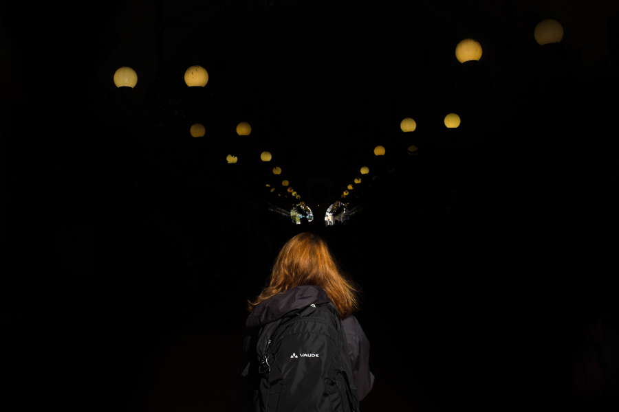 sztree-10.jpg