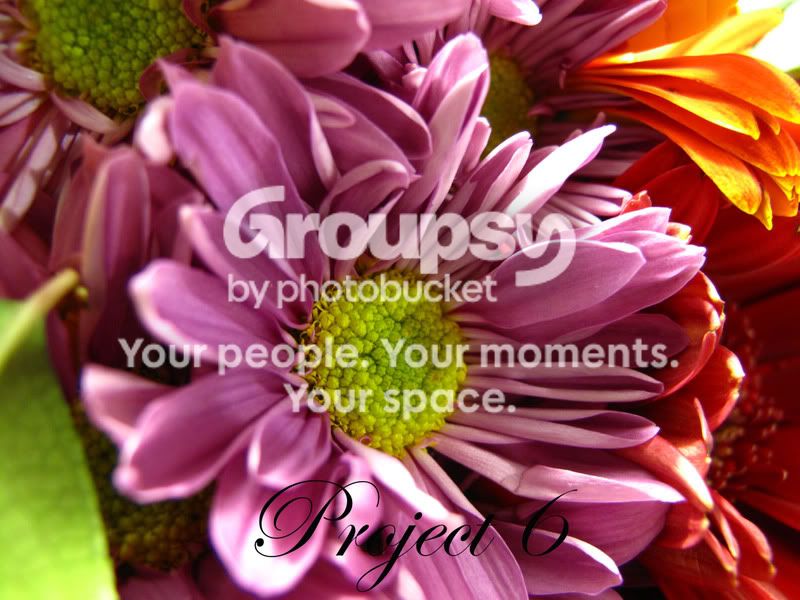 IMG_0042copy.jpg