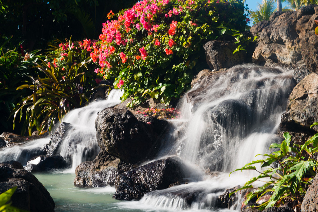 DSC_1372-XL.jpg