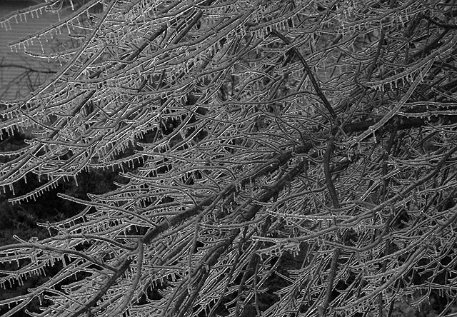 070214_07.jpg