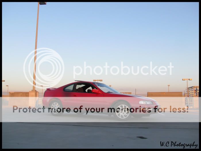 IMG_0599copy.jpg