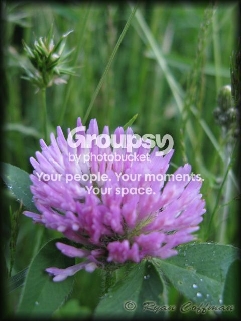 IMG_5374copy.jpg