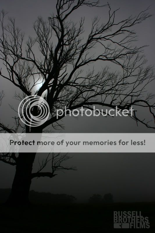 IMG_4427copy.jpg