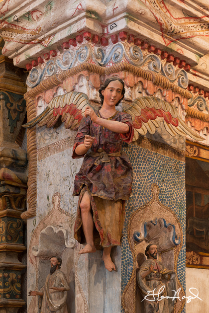 p2533353580-4.jpg
