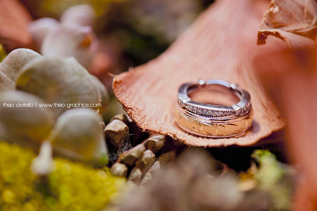 Rings-XL.jpg