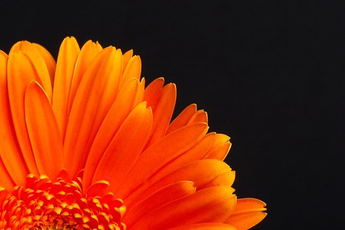 109532280_4a4aa017dd.jpg