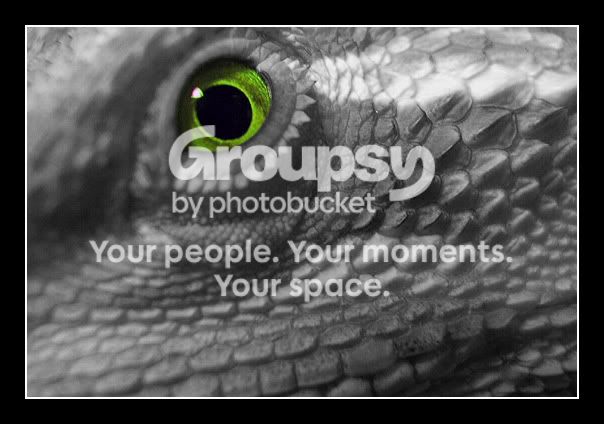 beardie_selct_eyegreen.jpg
